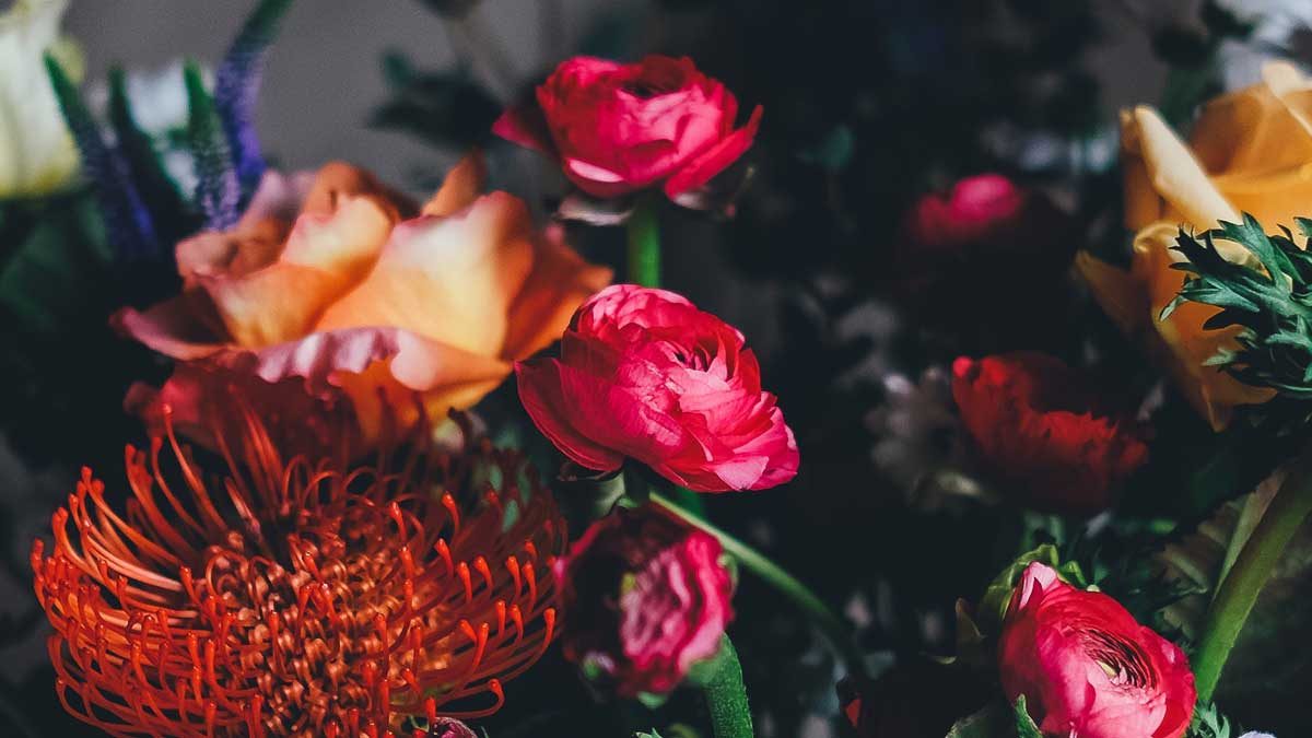 reddish flowers