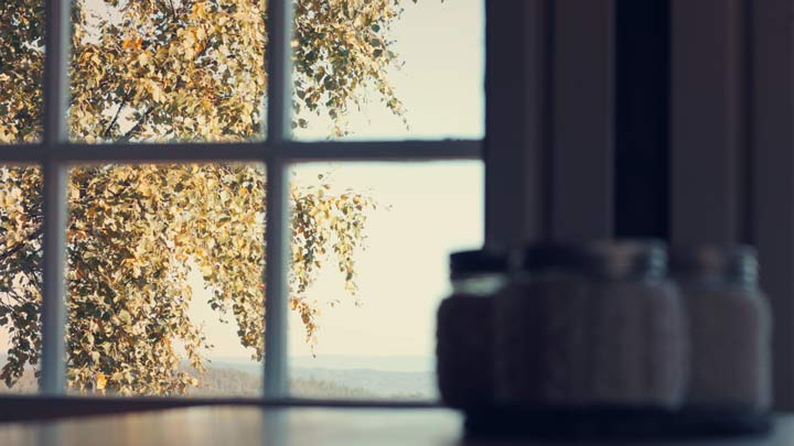 view from a kitchen window
