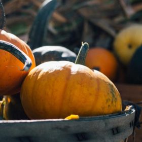 pumpkins - image for "October in Kokomo" by Eva Roa White