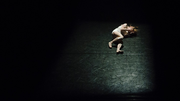 image for "I am lying on the floor" by Liz Howard