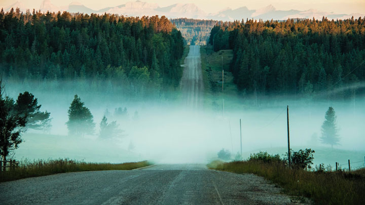 foggy landscape - image for Still by Paul Beckman