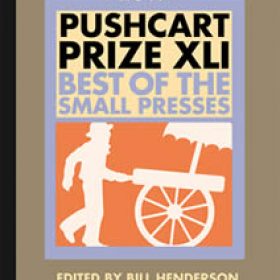 Nominations for 2018 Pushcart Prize