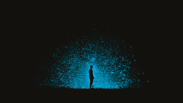 image for V. by Donald Ryan