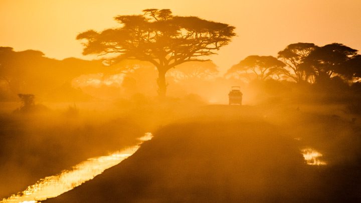 African road - image for Animals by J M Jackson