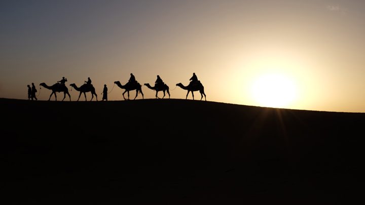 A caravan of camels on the horizon - image for Bedouin by Sneha Subramanian