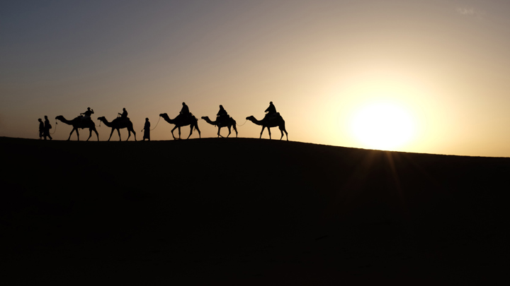 A caravan of camels on the horizon - image for Bedouin by Sneha Subramanian