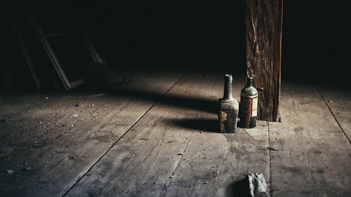 attic floor - image for Bullet Goose by Erik Fuhrer