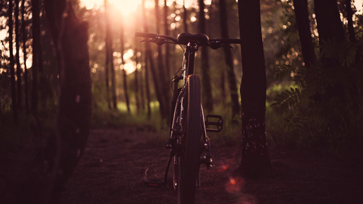 bicycle in the woods - image for Depending on the Horizon by Cate McGowan