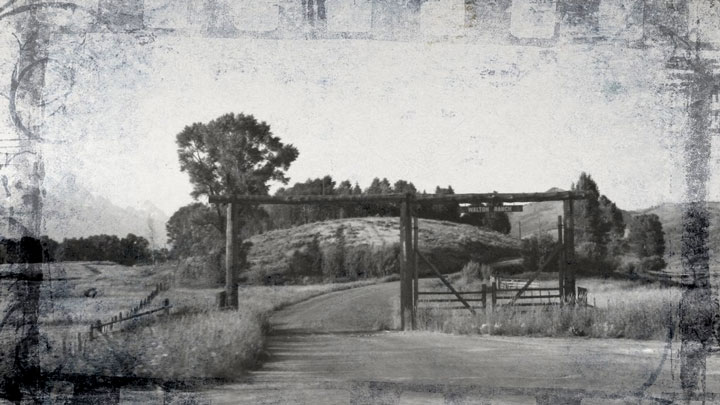old b&w image for The light/ Air by C.C. Russell