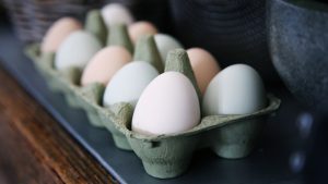 a dozen eggs in a carton - image for Aversion by Sheldon Lee Compton