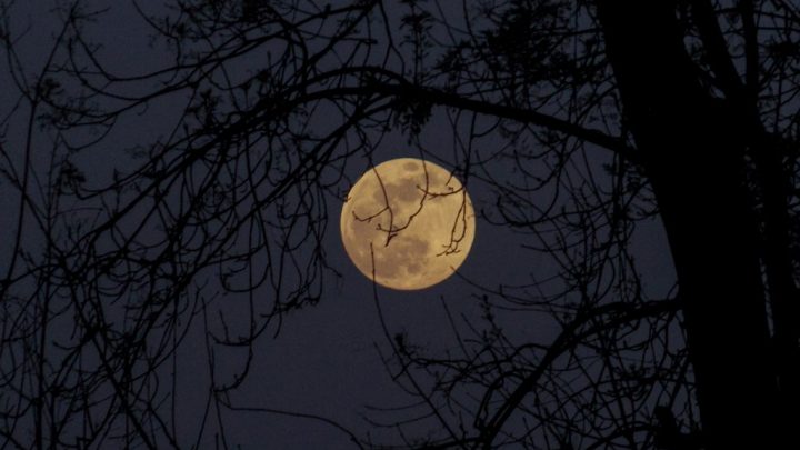 moon image for "Wanton Moon" by Cindy Hochman