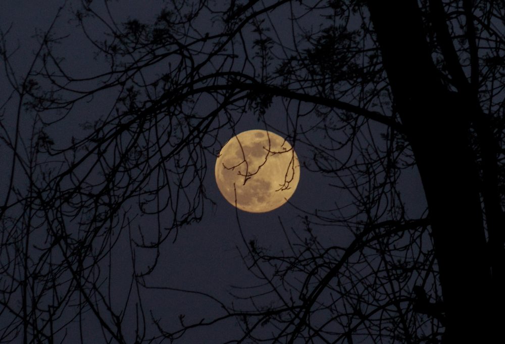 moon image for "Wanton Moon" by Cindy Hochman