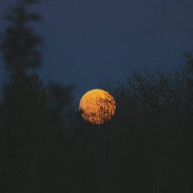 Moon by Cassandra Atherton