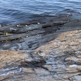 Maine Rocks by Karen Egee